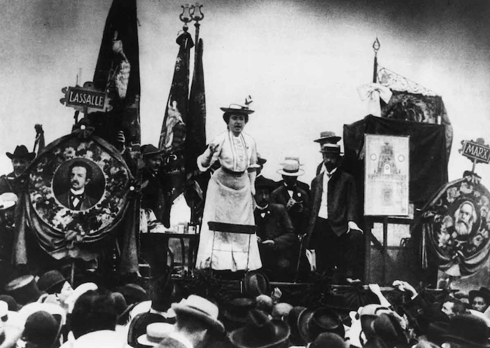 rosa luxemburg