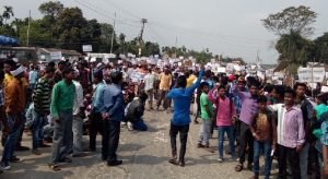 assam çay işçileri eylemi