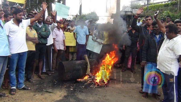 sri lanka çay işçileri grevi